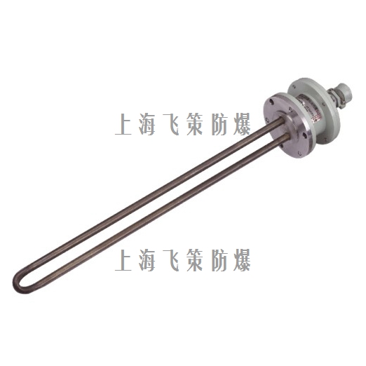 BDR防爆电加热器